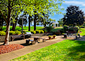 Thumbnail 12 of 17 - BBQ and picnic area featuring benches, a grill, and trees at Kentwood Square Apartments.
