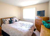 Thumbnail 9 of 9 - Bedroom in a one-bedroom apartment at Village Square Apartments with ample space and natural light.