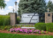 Thumbnail 19 of 19 - Entrance with beautiful landscaping at Ashmore Trace