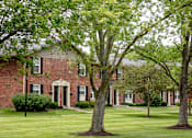 Thumbnail 8 of 15 - A large tree stands in front of a red brick building.
