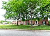 Thumbnail 10 of 15 - A tree in front of a brick house.