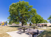 Thumbnail 18 of 19 - Picnic Table and Grilling Station near the Playground at Ashmore Trace