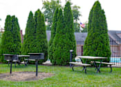 Thumbnail 9 of 24 - Picnic area with tables, benches, and tall green trees at Briarwood Apartments, Columbus, IN.