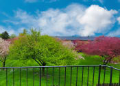 Thumbnail 9 of 19 - Spring season view from the balcony of a yard with trees and a building in the background at Ashmore Trace.