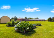 Thumbnail 16 of 18 - Vegetable garden at Briarwood Apartments in Lafayette, featuring a variety of thriving plants in raised garden beds.