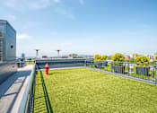 Thumbnail 7 of 37 - Rooftop dog park with artificial turf and city skyline at The Lyric Apartments, Washington