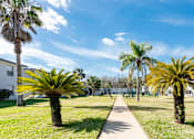 Thumbnail 16 of 19 - A sunny day in a residential area with palm trees and a clear blue sky.