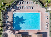 Thumbnail 21 of 29 - An aerial view of a swimming pool surrounded by sun loungers and trees.