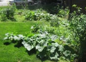 Thumbnail 8 of 15 - Cascadian Terrace