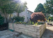 Thumbnail 22 of 40 - DiscoveryView_Photo_gardenBed