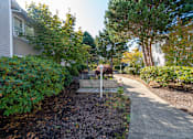 Thumbnail 26 of 40 - DiscoveryView_Photo_Sidewalk