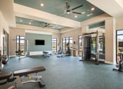 Thumbnail 10 of 43 - a gym with exercise equipment and a ceiling fan