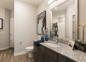 Thumbnail 31 of 44 - large bathroom with granite vanity, large mirror, light kit, and wood-style floor