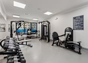 Thumbnail 23 of 37 - a gym with weights and cardio equipment in a building