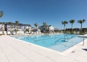 Thumbnail 12 of 48 - a large swimming pool with palm trees in at Lake Nona Concorde
