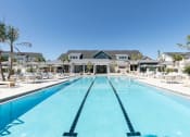 Thumbnail 10 of 48 - a large swimming pool, sundeck with chairs and palms, and Concorde clubhouse