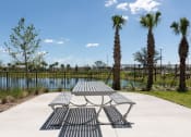 Thumbnail 21 of 48 - a picnic table near palm trees and the pond at Lake Nona Concorde