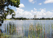 Thumbnail 24 of 26 - A body of water with a building in the background and trees in the foreground.