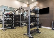 Thumbnail 37 of 44 - Specialized equipment in Fitness Center at Residences at The Green in Lakewood Ranch, FL