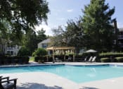 Thumbnail 10 of 18 - Large swimming pool and sundeck surrounded by trees at Stillwater at Grandview Cove