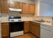 Thumbnail 14 of 24 - a kitchen with a stove a sink and a dishwasher in an Algonquin Manor Apartment