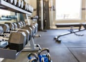 Thumbnail 15 of 33 - A gym with dumbbells and benches.