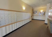 Thumbnail 9 of 24 - rows of aluminum mailboxes inside Algongquin Manor