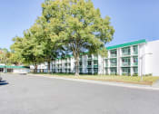 Thumbnail 3 of 12 - Mature trees and sidewalks in front of Morris Manor Senior Apartments