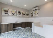 Thumbnail 39 of 44 - Indoor Dog Parlor & Pet Salon with dog wash station at Residences at The Green in Lakewood Ranch, FL
