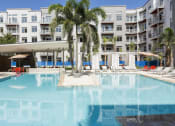 Thumbnail 2 of 42 - Resort pool with palm trees and cabanas at LandonHouse Apartments in Lake Nona, Orlando, FL 32827