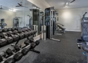 Thumbnail 10 of 32 - Free weights and weight machines in fitness center at Terraces at Clearwater Beach, Clearwater, FL