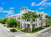 Thumbnail 40 of 40 - A white building with a palm tree in front of it.