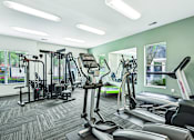Thumbnail 14 of 31 - A gym with a variety of equipment including treadmills, weights, and exercise machines.