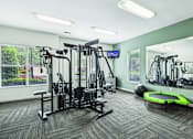Thumbnail 15 of 31 - A gym with a variety of equipment including a treadmill, weights, and a bench.