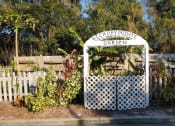 Thumbnail 8 of 15 - Community Garden with white picket fence