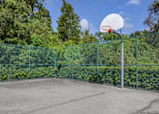 Thumbnail 5 of 24 - Fenced in Basketball Court with Treeline in the Background