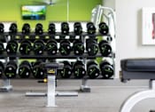 Thumbnail 83 of 197 - A gym with a row of black dumbbells on racks at Foxwood Apartments, Raleigh-Durham, 27616