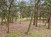 Thumbnail 27 of 33 - A forest with a bench in the middle of it.