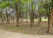Thumbnail 30 of 33 - A park with a lot of trees and a sidewalk.