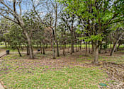 Thumbnail 31 of 33 - A park with a lot of trees and a path.
