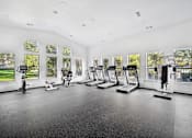 Thumbnail 26 of 33 - the gym has plenty of cardio equipment and windows