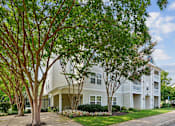 Thumbnail 27 of 29 - A tree with green leaves in front of a white building.