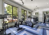 Thumbnail 24 of 39 - the preserve at ballantyne commons community gym