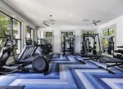 Thumbnail 27 of 39 - a gym with treadmills and other exercise equipment on a blue and white rug