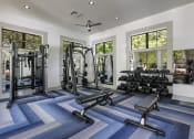 Thumbnail 29 of 39 - a home gym with weights and cardio equipment