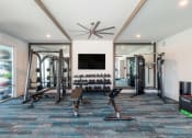 Thumbnail 22 of 58 - a home gym with weights and a tv