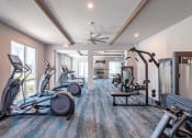 Thumbnail 23 of 58 - a gym with treadmills and other exercise equipment in a building with windows
