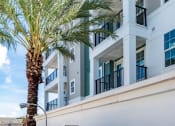 Thumbnail 19 of 58 - a barbecue grill on the side of a building with a palm tree