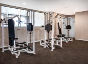 Thumbnail 10 of 13 - a gym with weights and a punching bag in the corner of a room