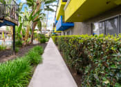 Thumbnail 6 of 13 - a walkway between two buildings with plants on either side